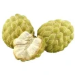 Exotic & Seasonal Fruits